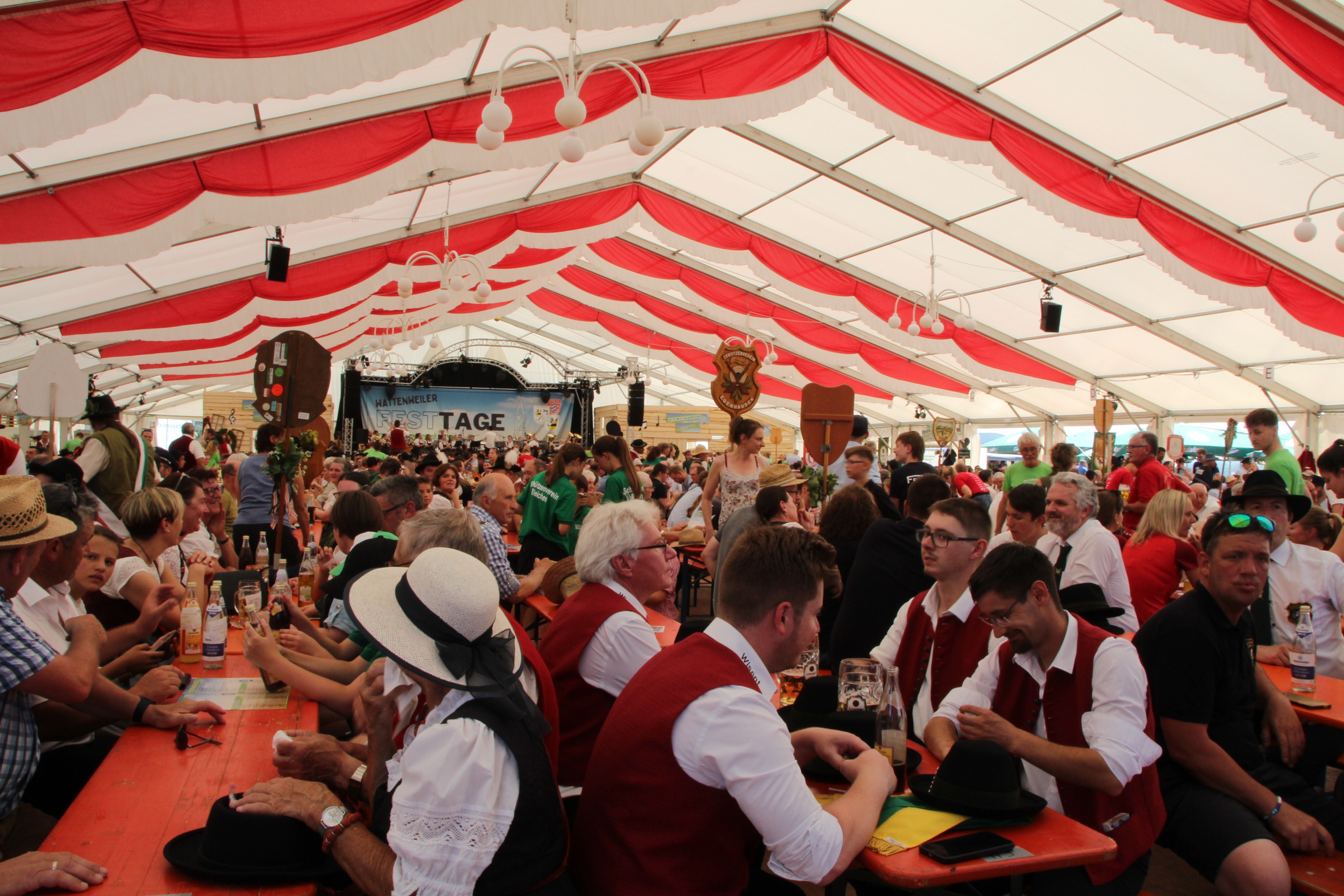 Wattenweiler Festtage Festumzug